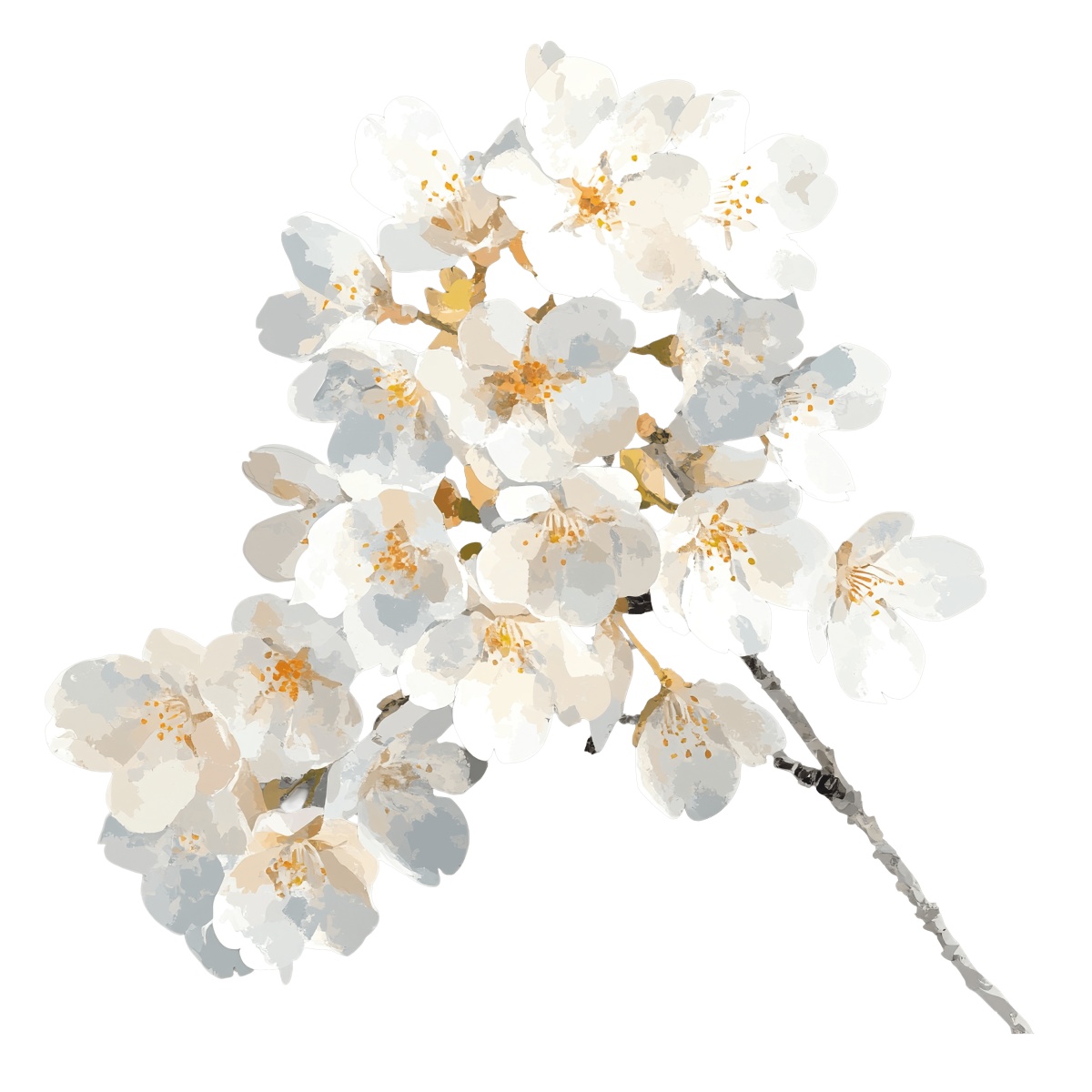 Cherry blossom branch with white flowers against a dark background.