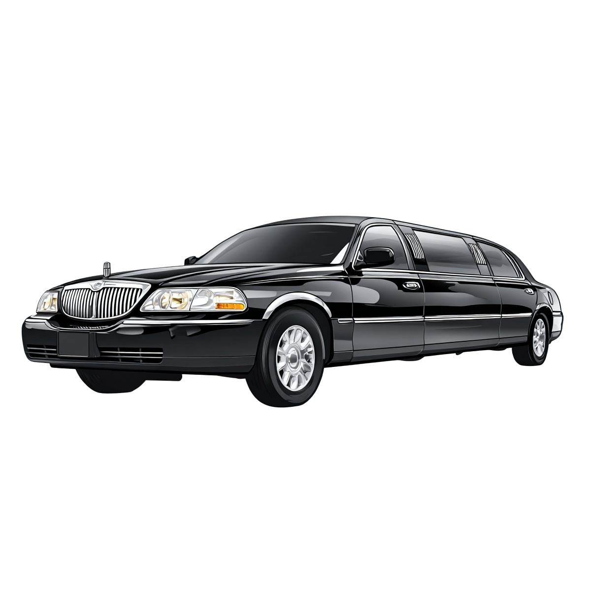 Black stretch limousine with chrome details.