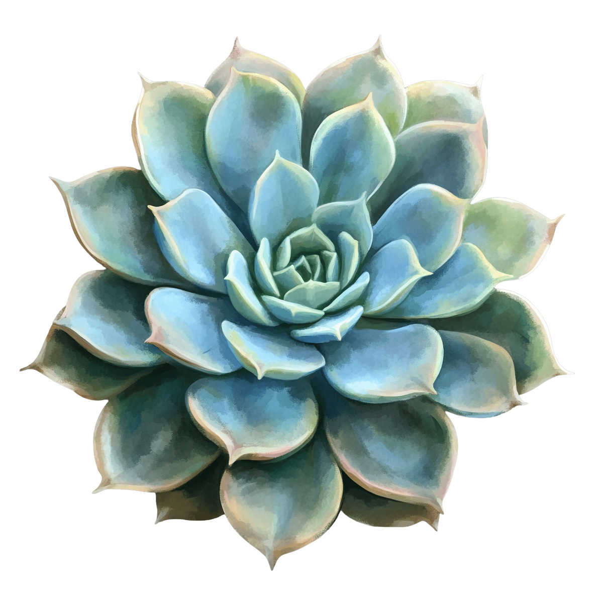 Blue-green succulent plant with rosette shape and pointed leaves in watercolor.