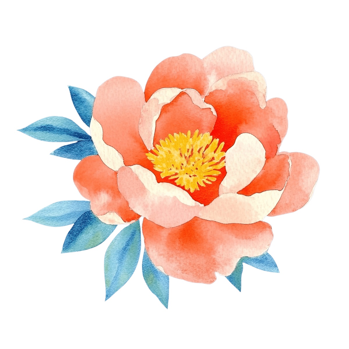 Bright orange peony with blue leaves on a black background, watercolor style.