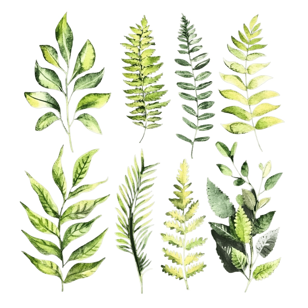 A selection of watercolor-painted green fern leaves on a dark background.