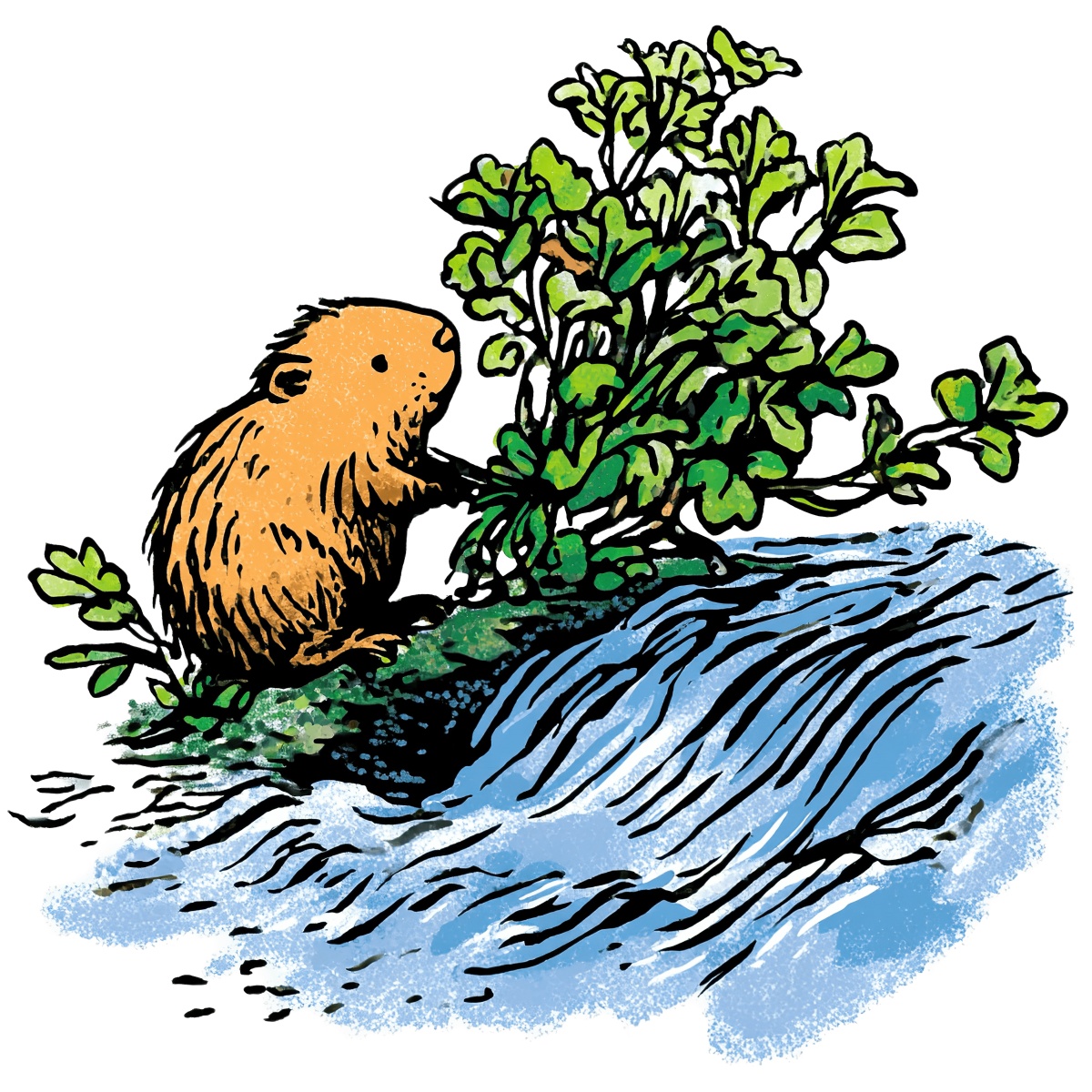 Brown hamster by a shrub and stream in watercolor style.