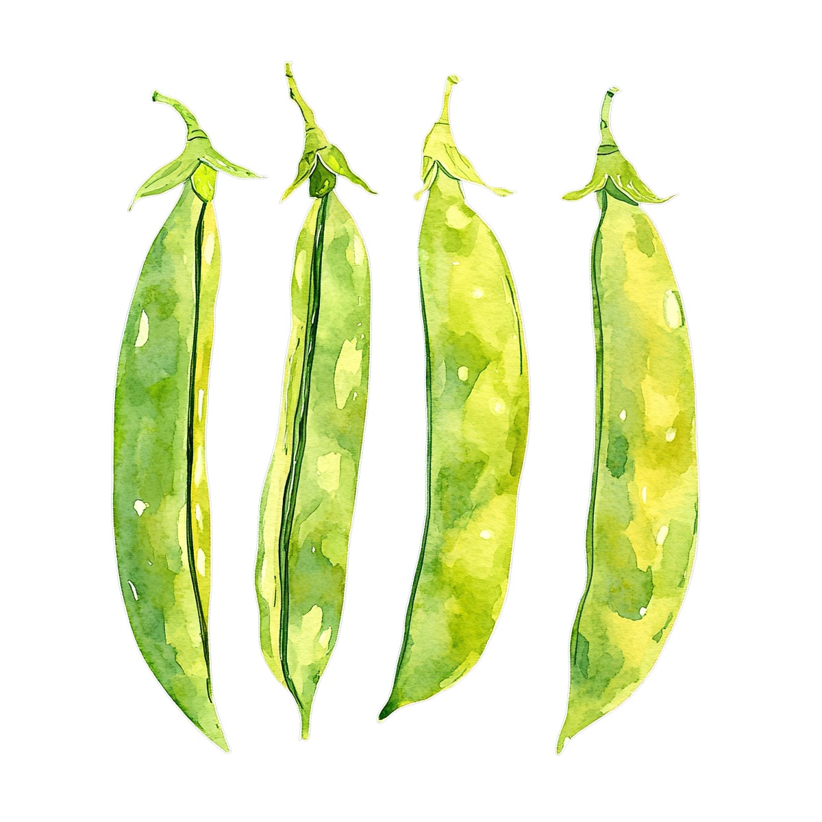 Four green pea pods illustrated in a watercolor style.