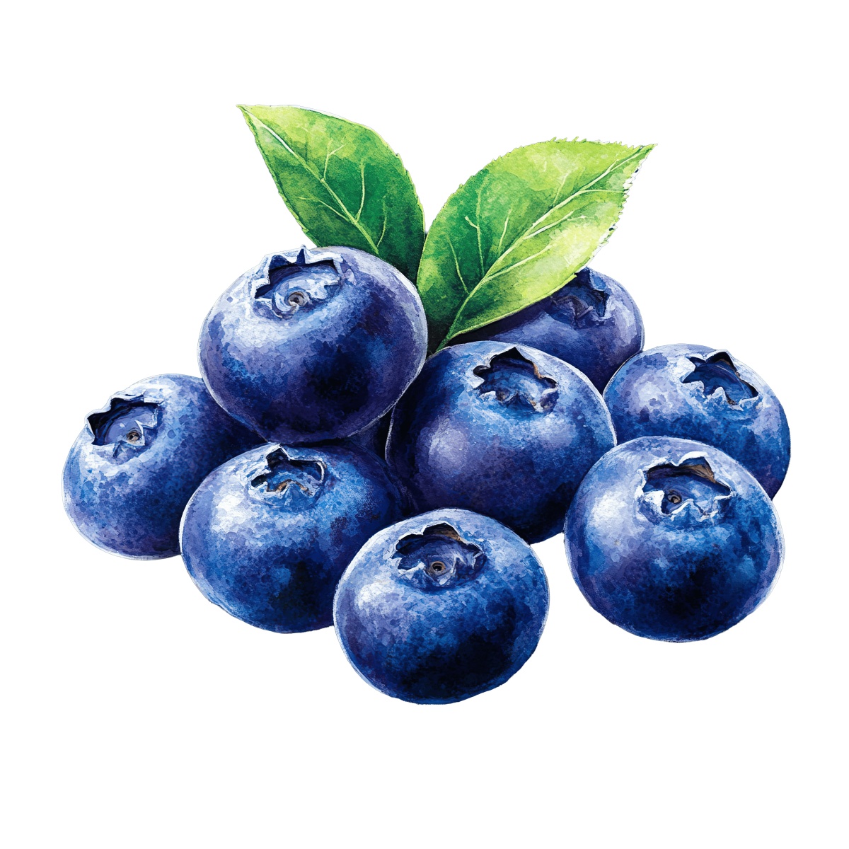 Blueberries with green leaves, showcasing fresh fruit.