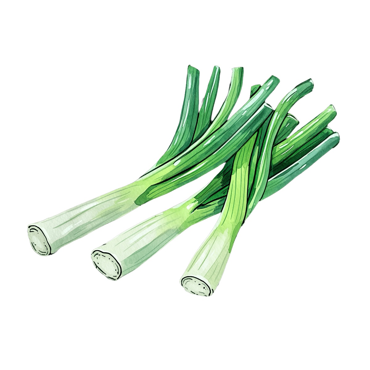 Fresh green leeks with long stems and white bulbs shown.