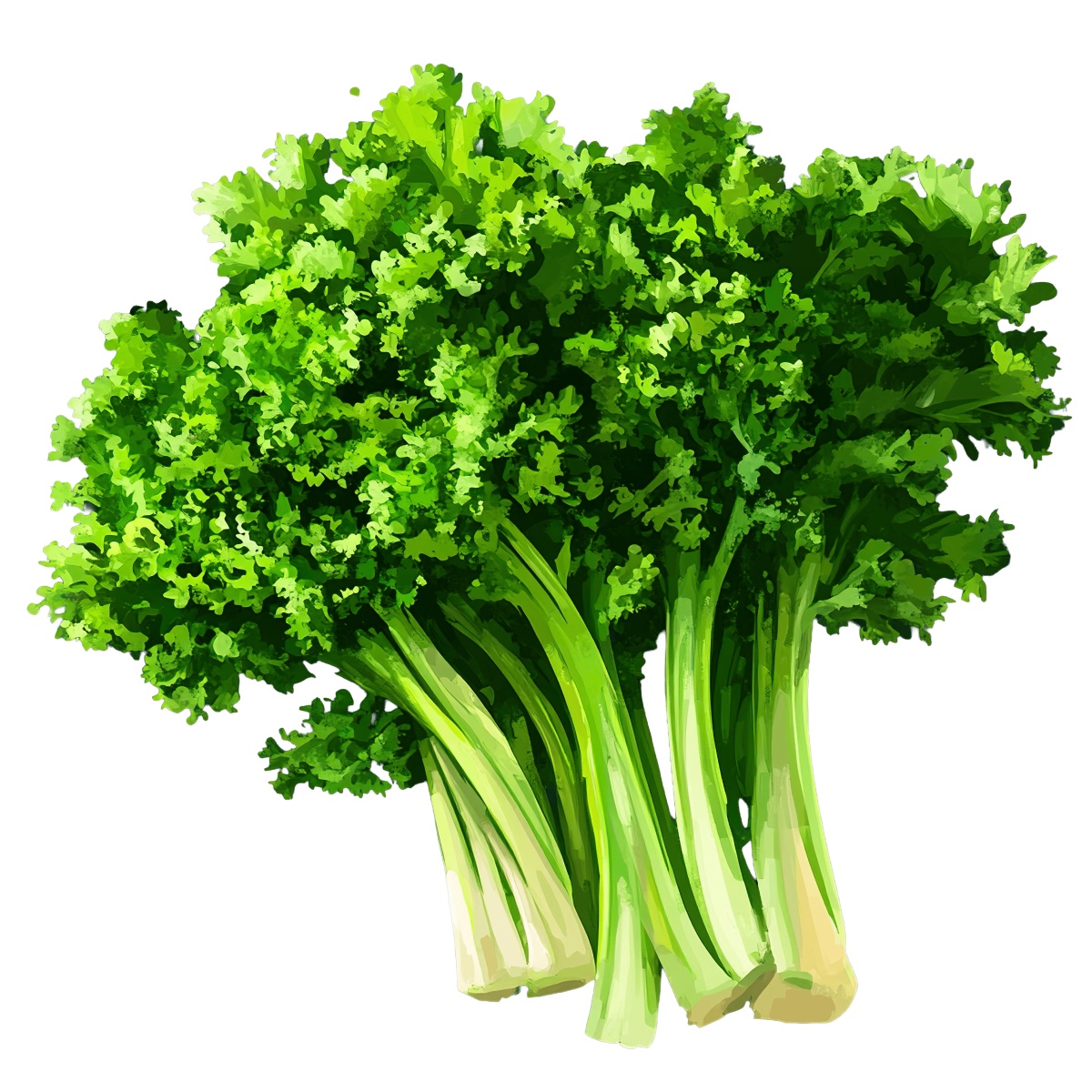 Bunch of fresh green mustard greens in clipart style.
