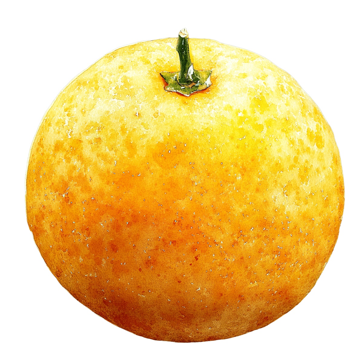 Orange fruit with a green stem on a black background.