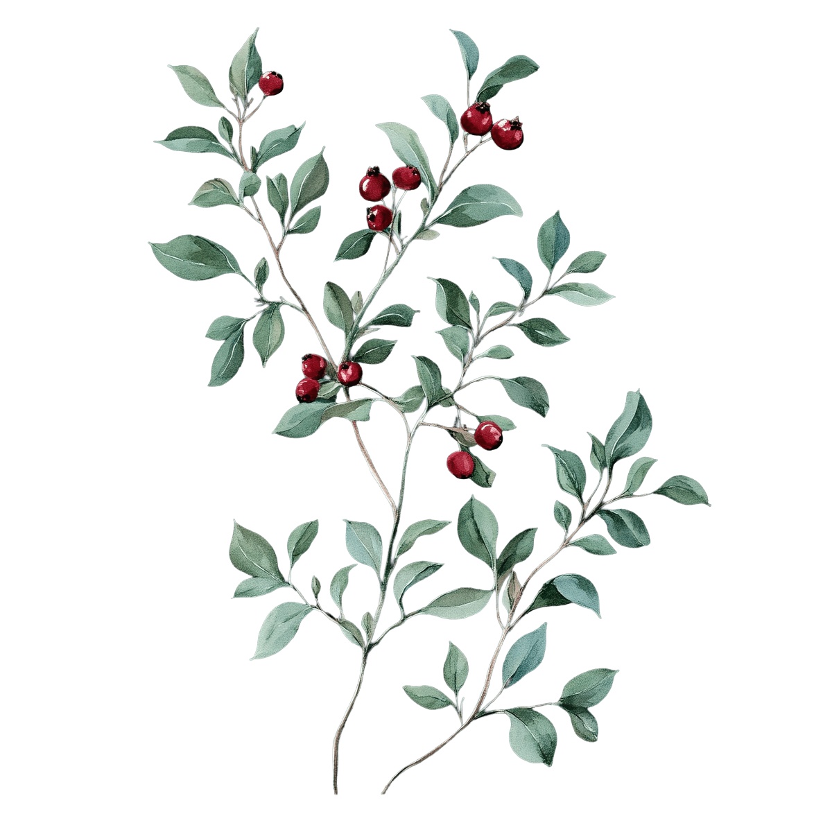 Green branches with red berries on a black background.