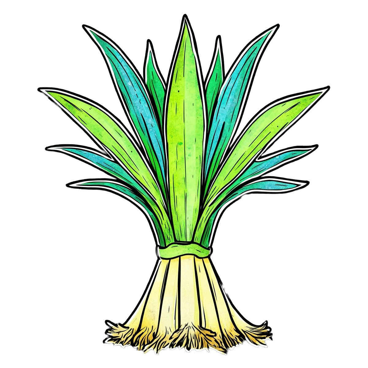 Leek vegetable with long green leaves and visible roots depicted in clipart style.