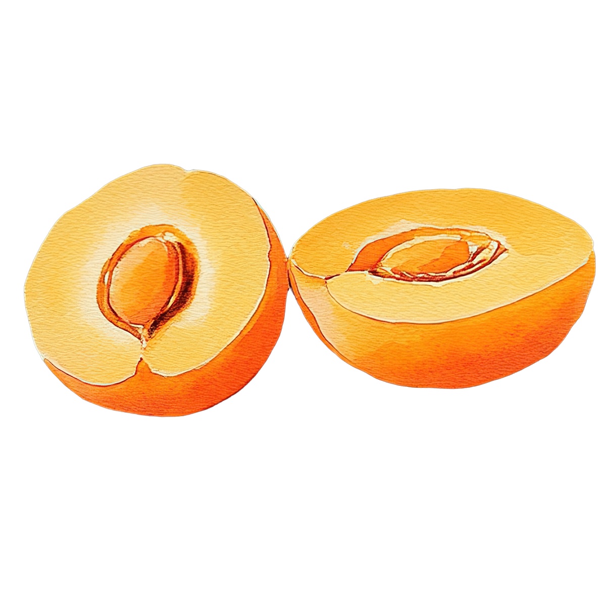 Two apricot halves with visible pits.