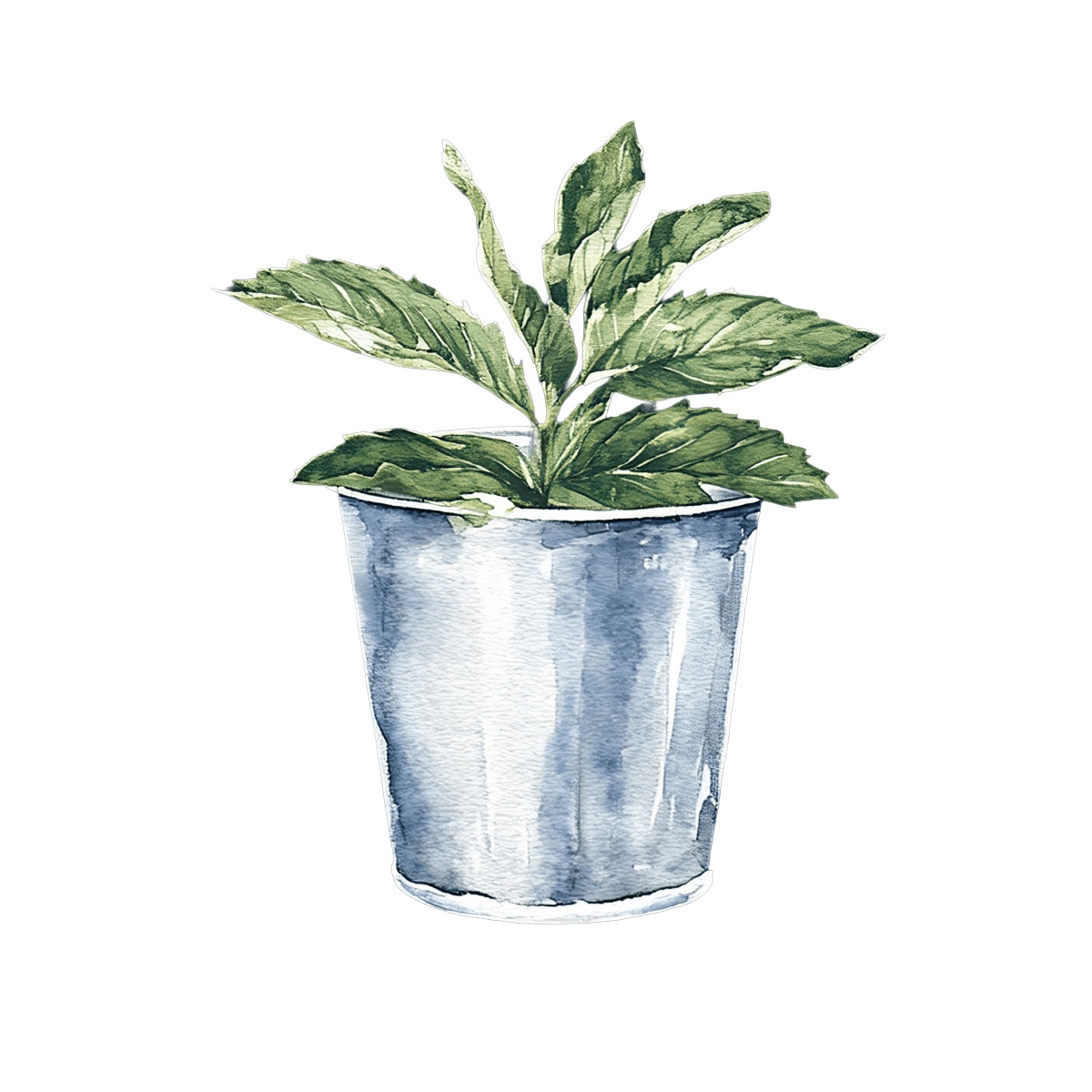Mint plant with green leaves in a silver metal container.
