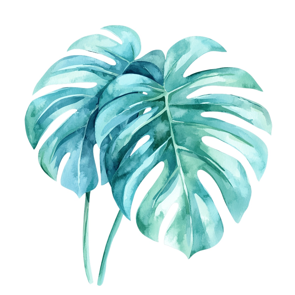 Monstera leaves in watercolor style.