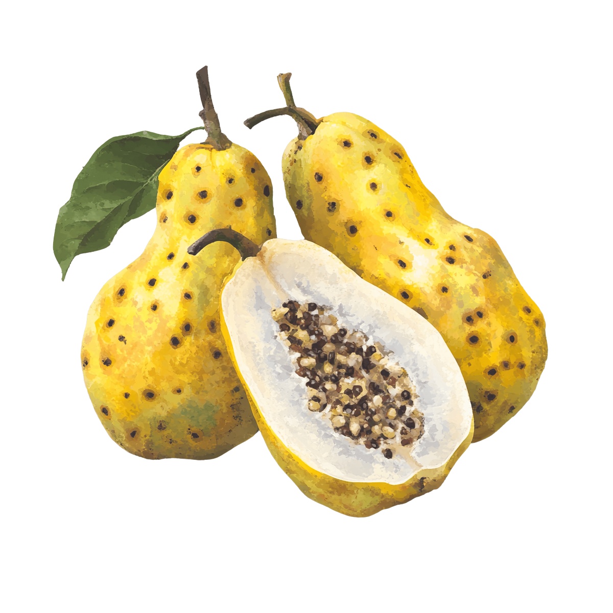 Naranjilla fruit with a leaf and a halved section showing seeds.