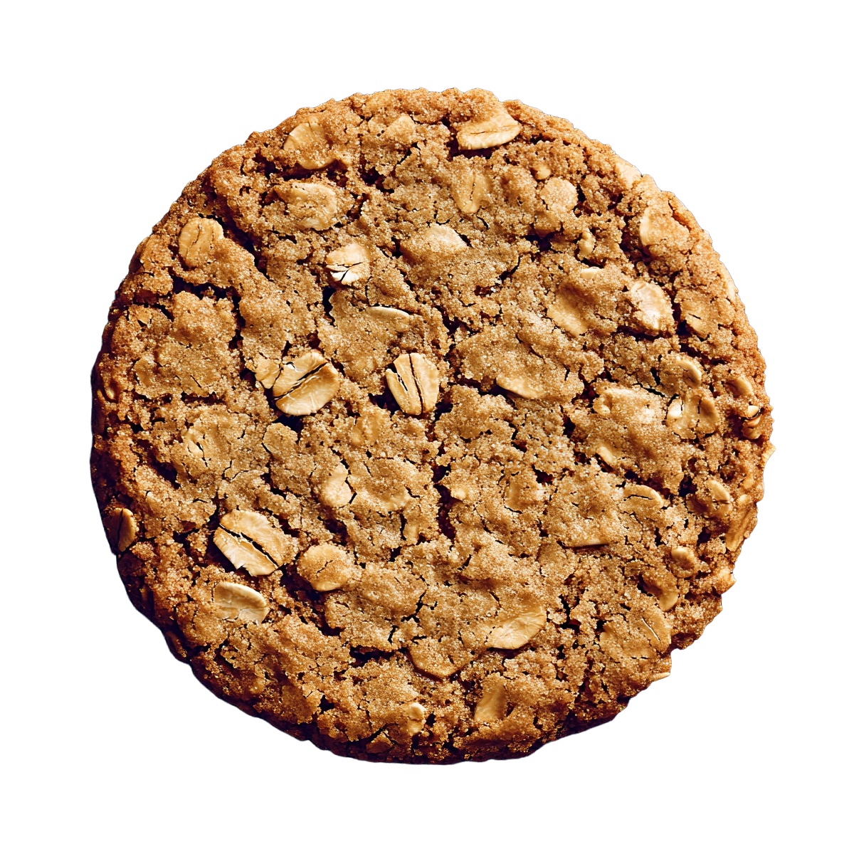 Oatmeal cookie with visible oats.