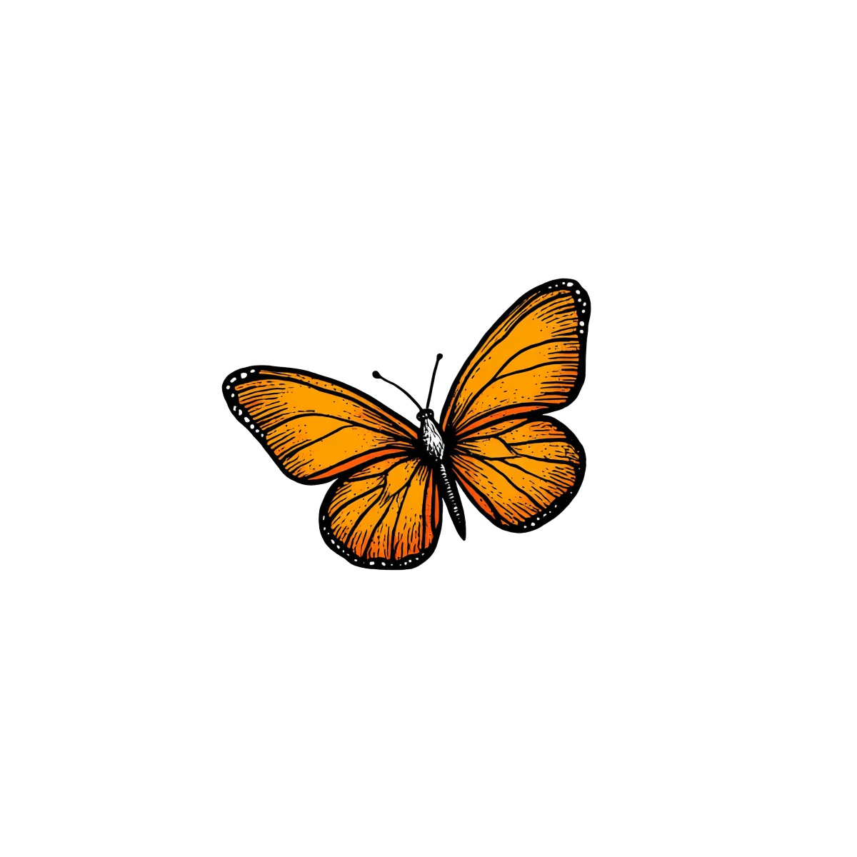 Orange butterfly clipart with detailed wings and black accents.