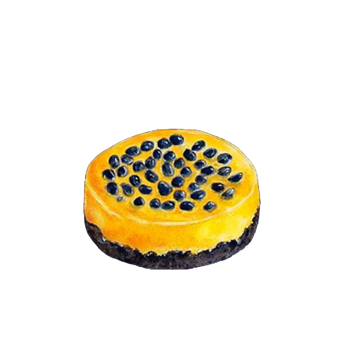 Passionfruit cheesecake with seeds and Oreo crust in clipart style.