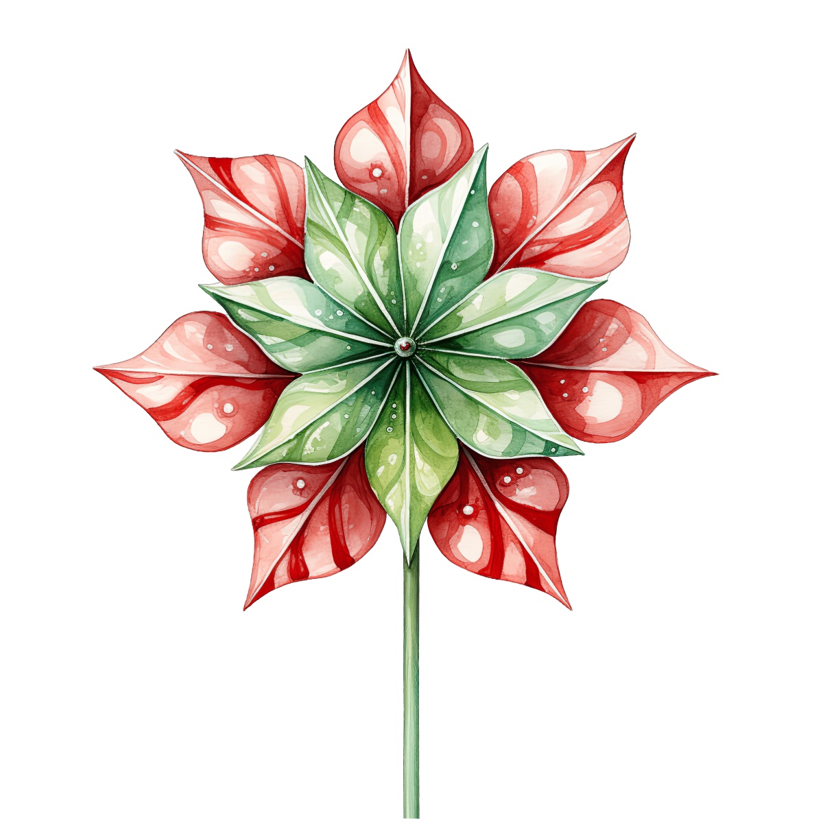 Red and green poinsettia illustration with dewdrops on the leaves.