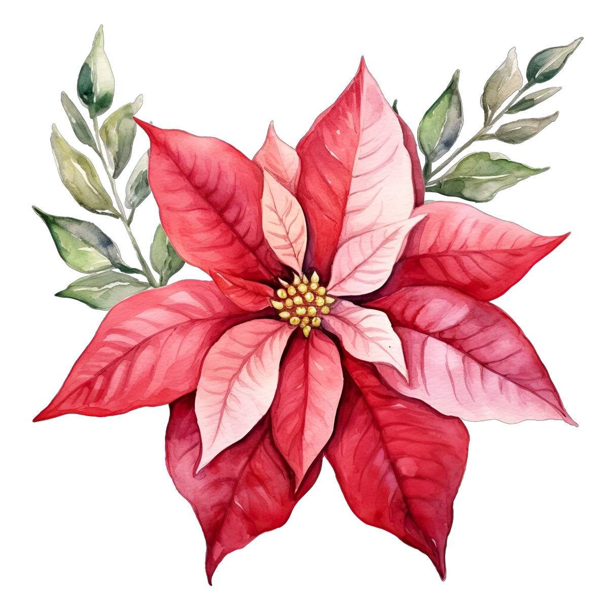 Red poinsettia flower with green leaves depicted in a watercolor style.