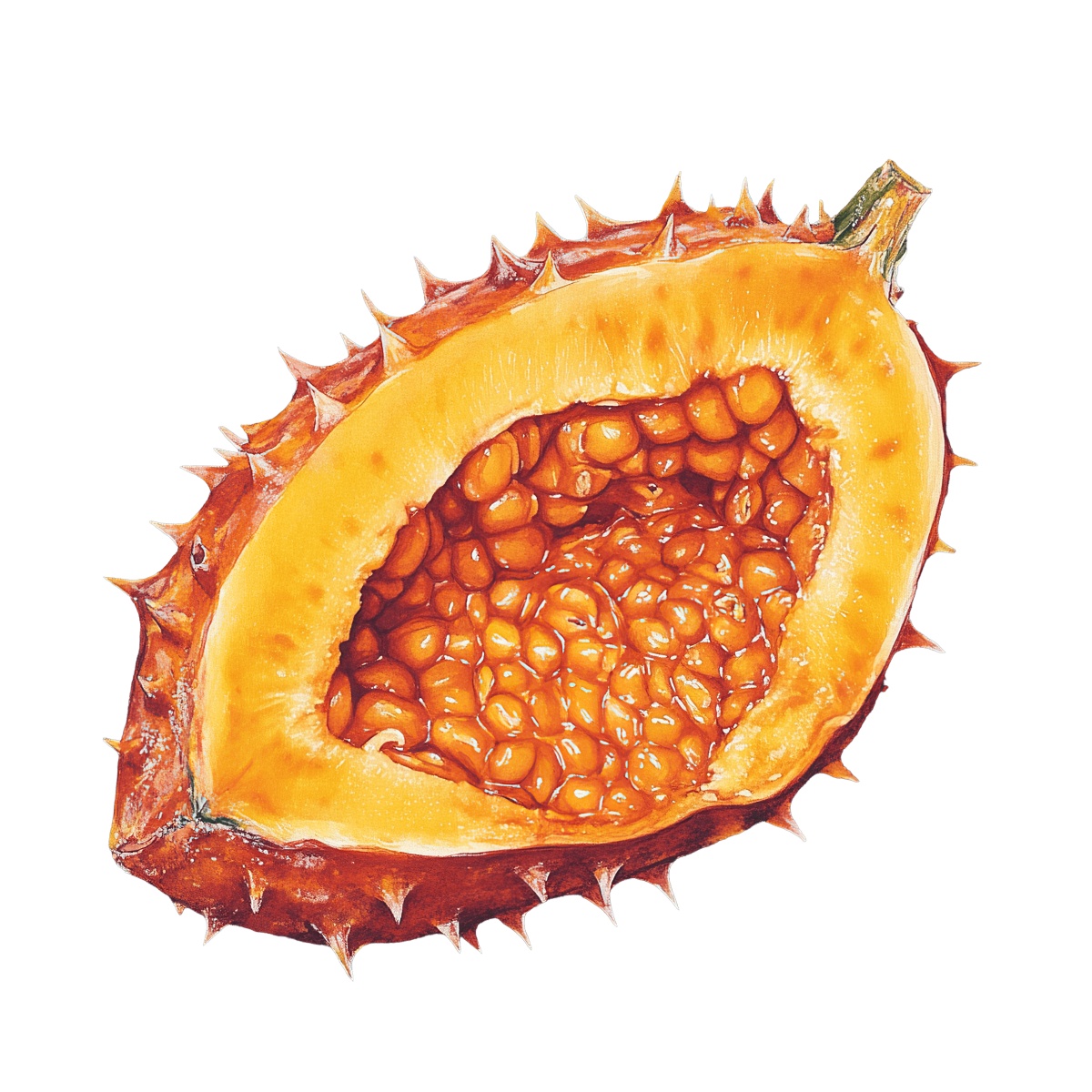 Sliced kiwano melon with spiky orange skin and visible seeds.