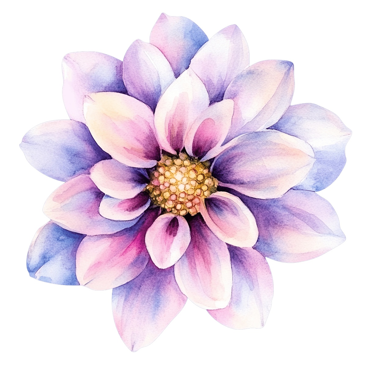 Watercolor flower with purple and pink petals on a black background.