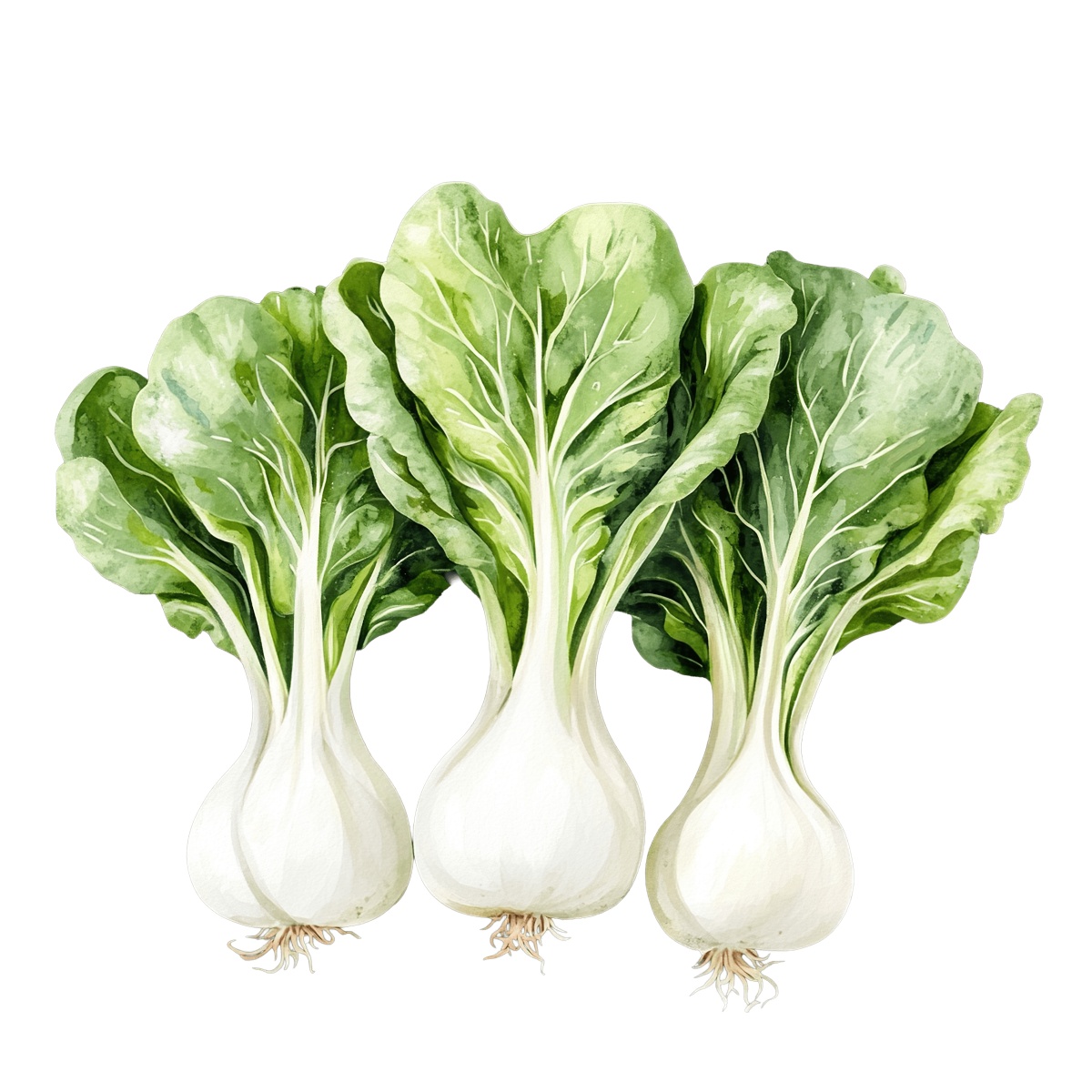 Three bok choy vegetables with green leaves.