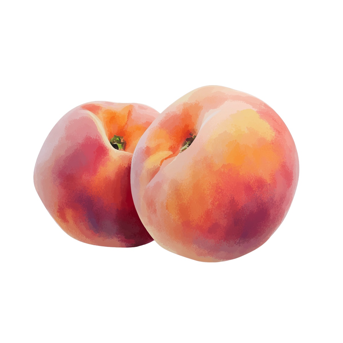 Two ripe peaches with soft orange and pink gradient colors.