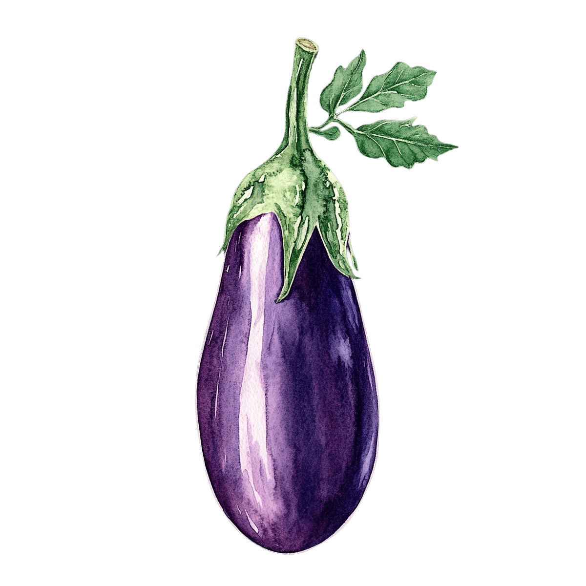 Watercolor eggplant with green leaves.