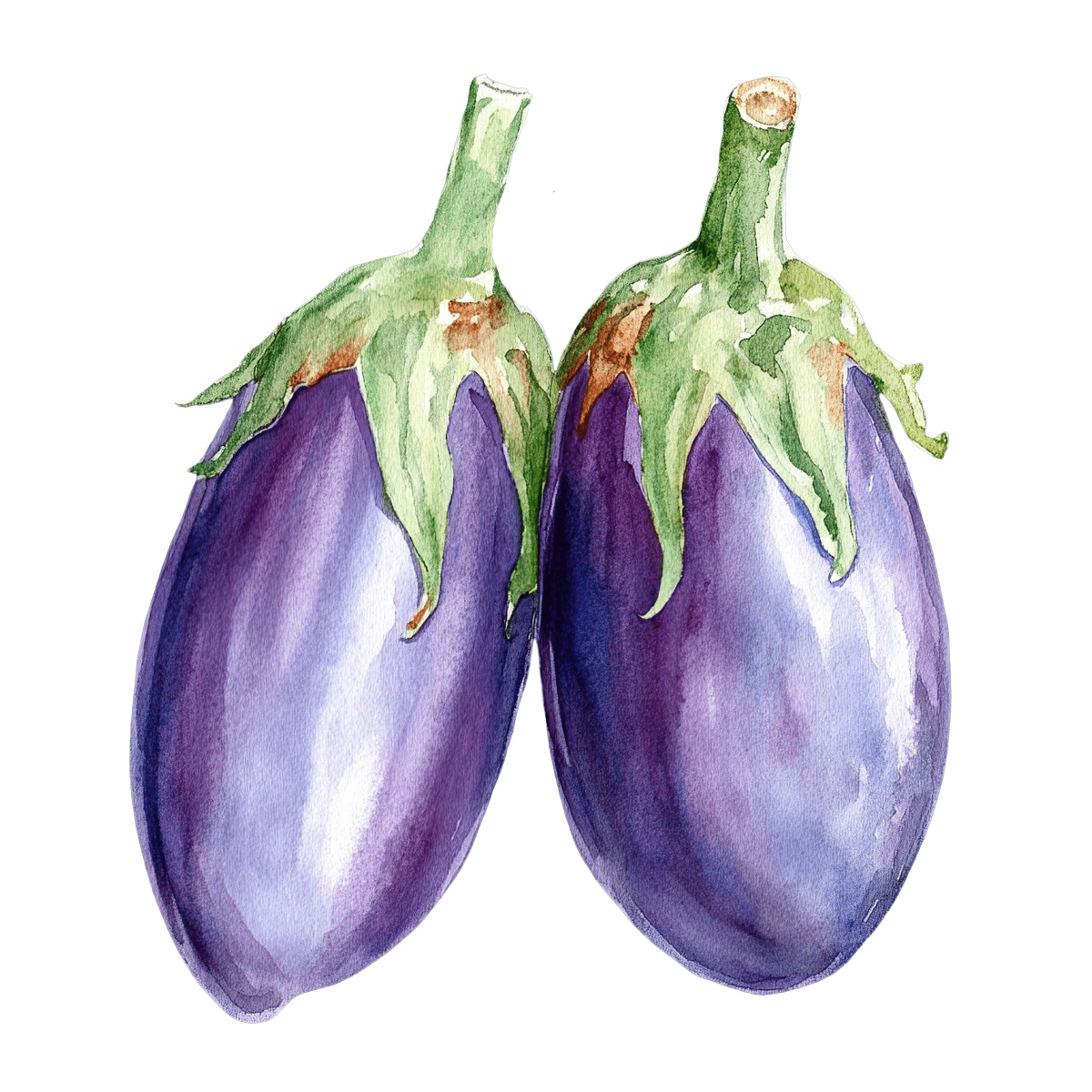Two watercolor eggplants with green stems.