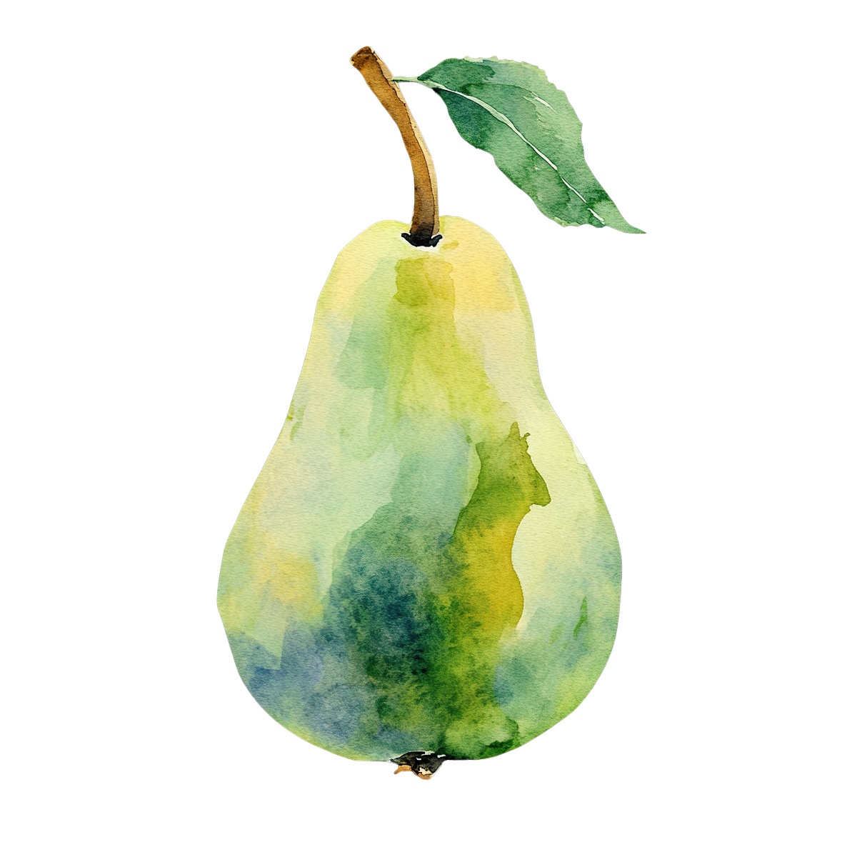 Watercolor pear with leaf and stem.