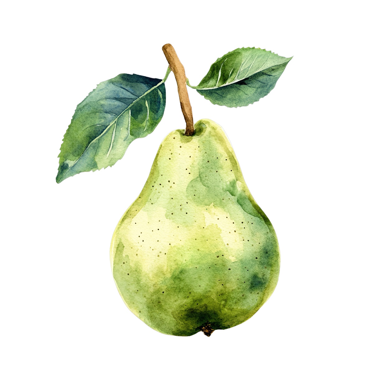 Watercolor pear with green.