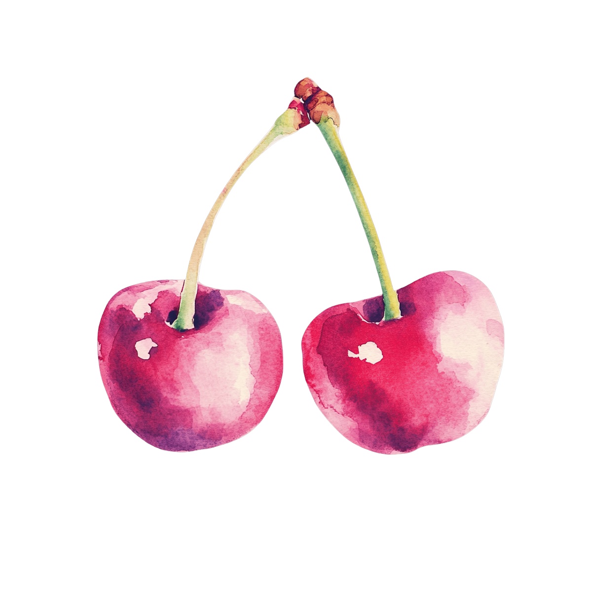 Watercolor style image of two red cherries.
