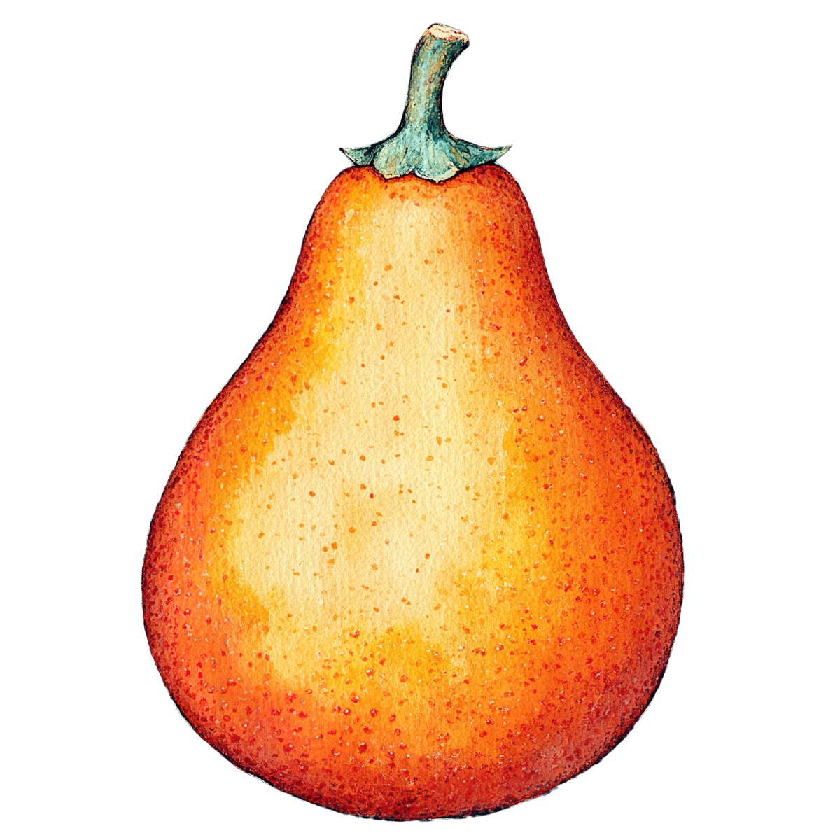 Watercolor art of an orange pear with a green stem.