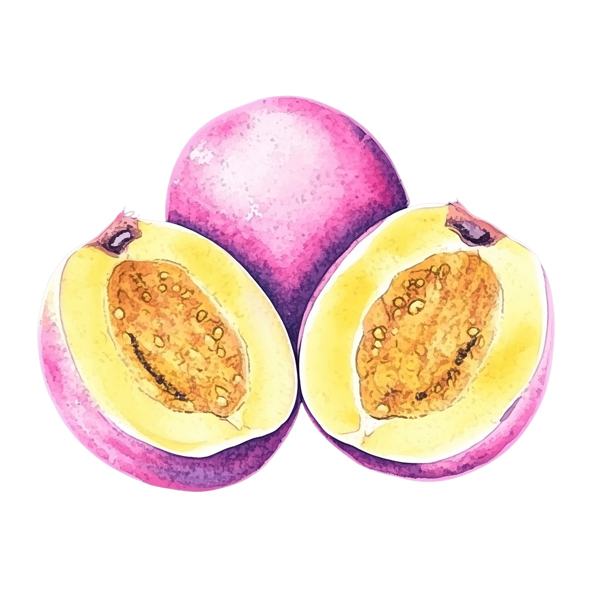 Watercolor art of a whole plum and two halved plums.