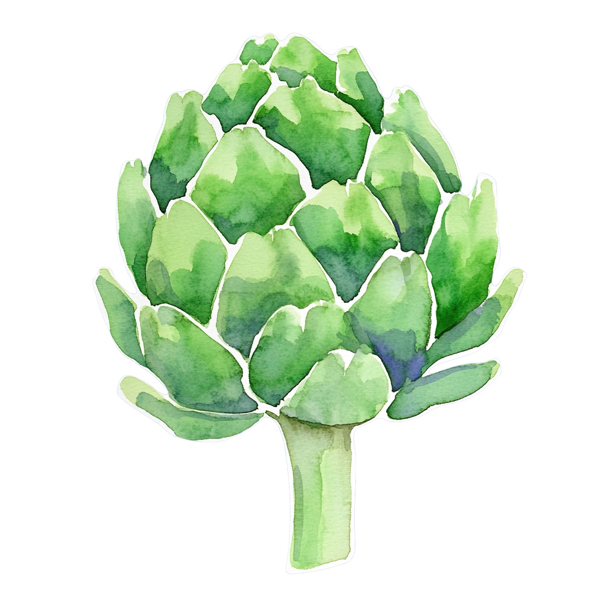 Watercolor artichoke with green leaves and detailed stem.
