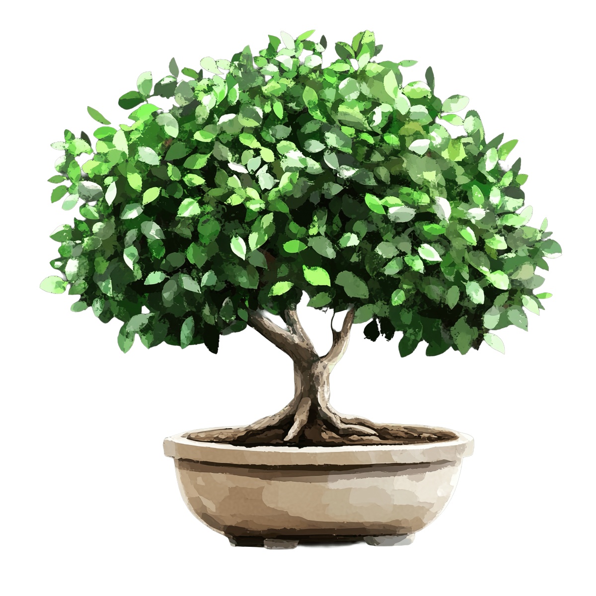 Watercolor bonsai tree with green leaves in a ceramic pot.