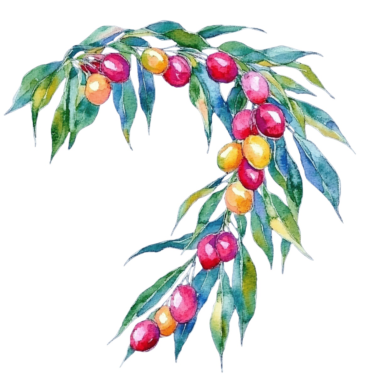 Watercolor branch with colorful berries and green leaves.