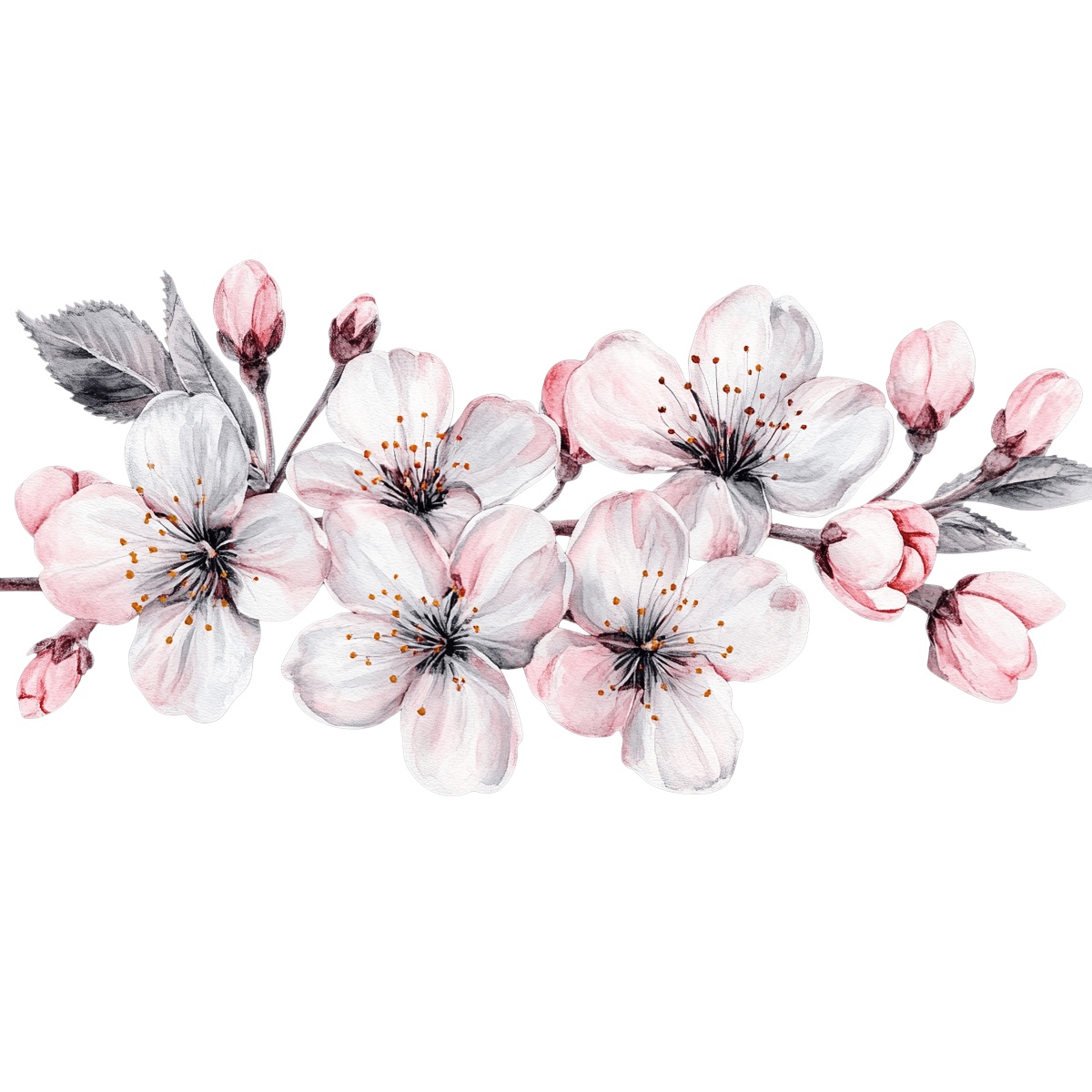 Watercolor illustration of a cherry blossom branch with pink and white flowers.