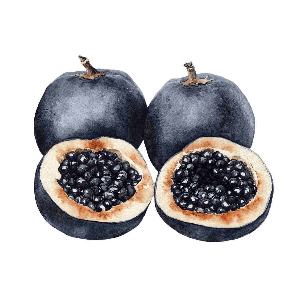 Watercolor art of whole and halved passion fruits with visible seeds.