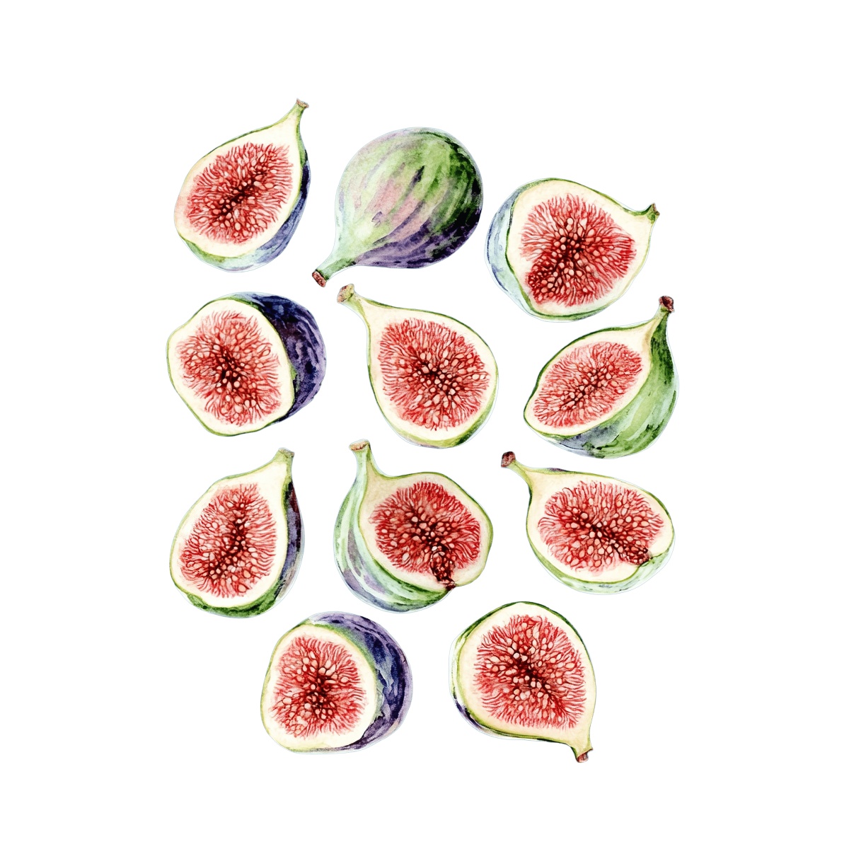 Watercolor figs arranged in a grid pattern.