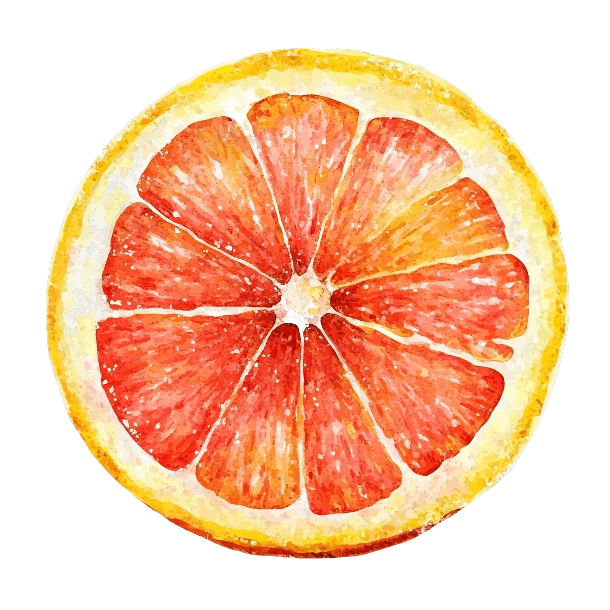 Watercolor grapefruit slice with vibrant red and yellow colors.