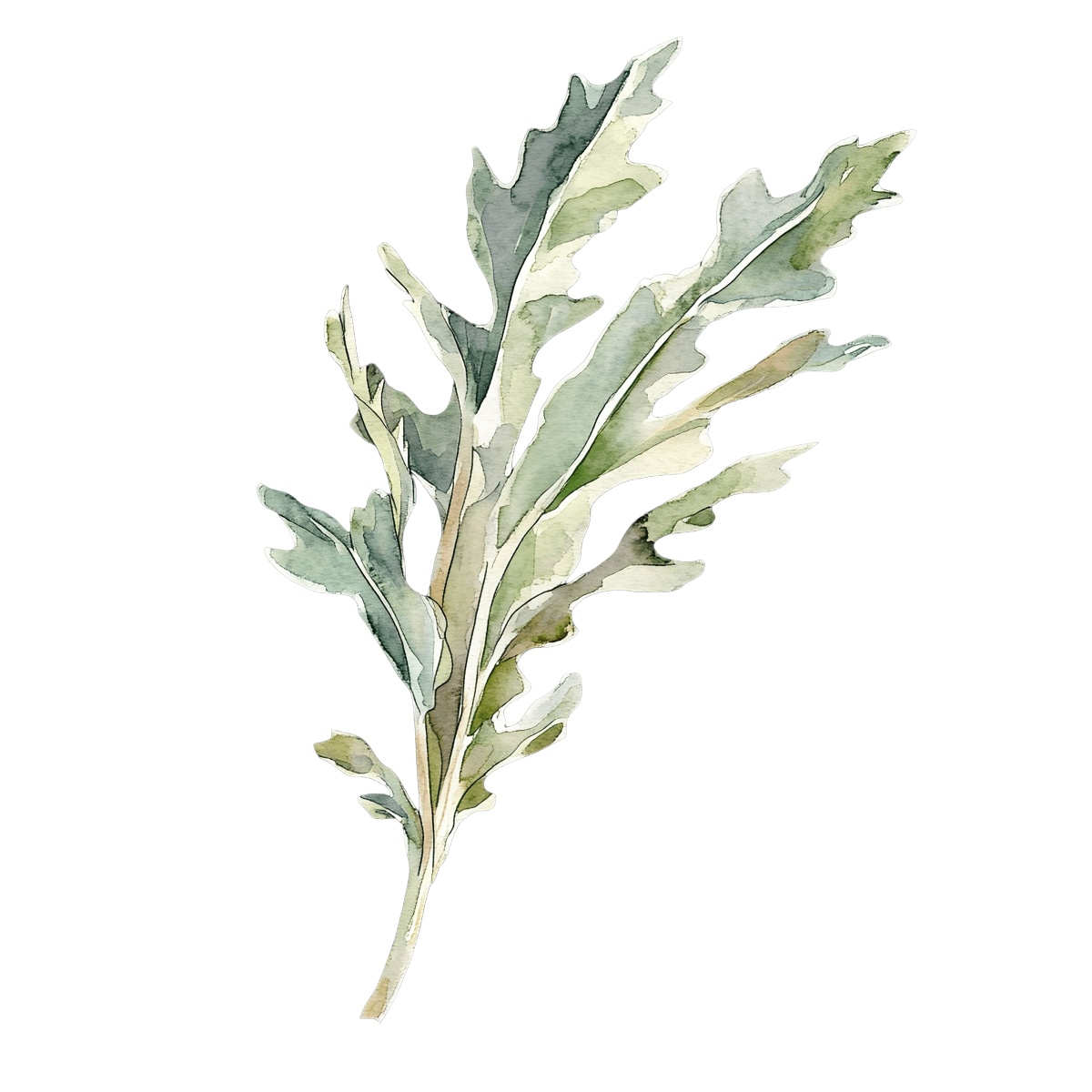 Watercolor green leaf with detailed textures and natural hues.