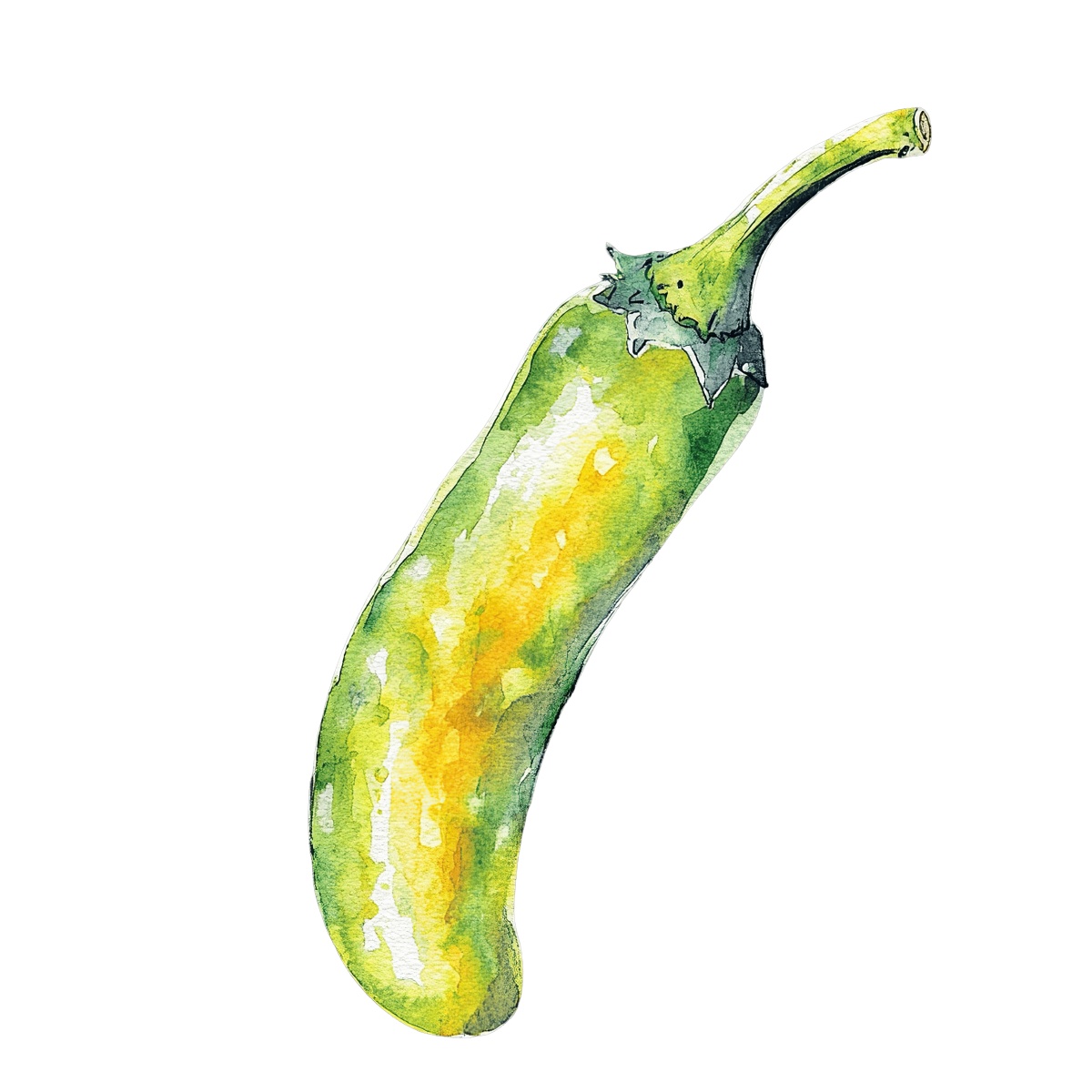 Watercolor art of a green and yellow chili pepper.