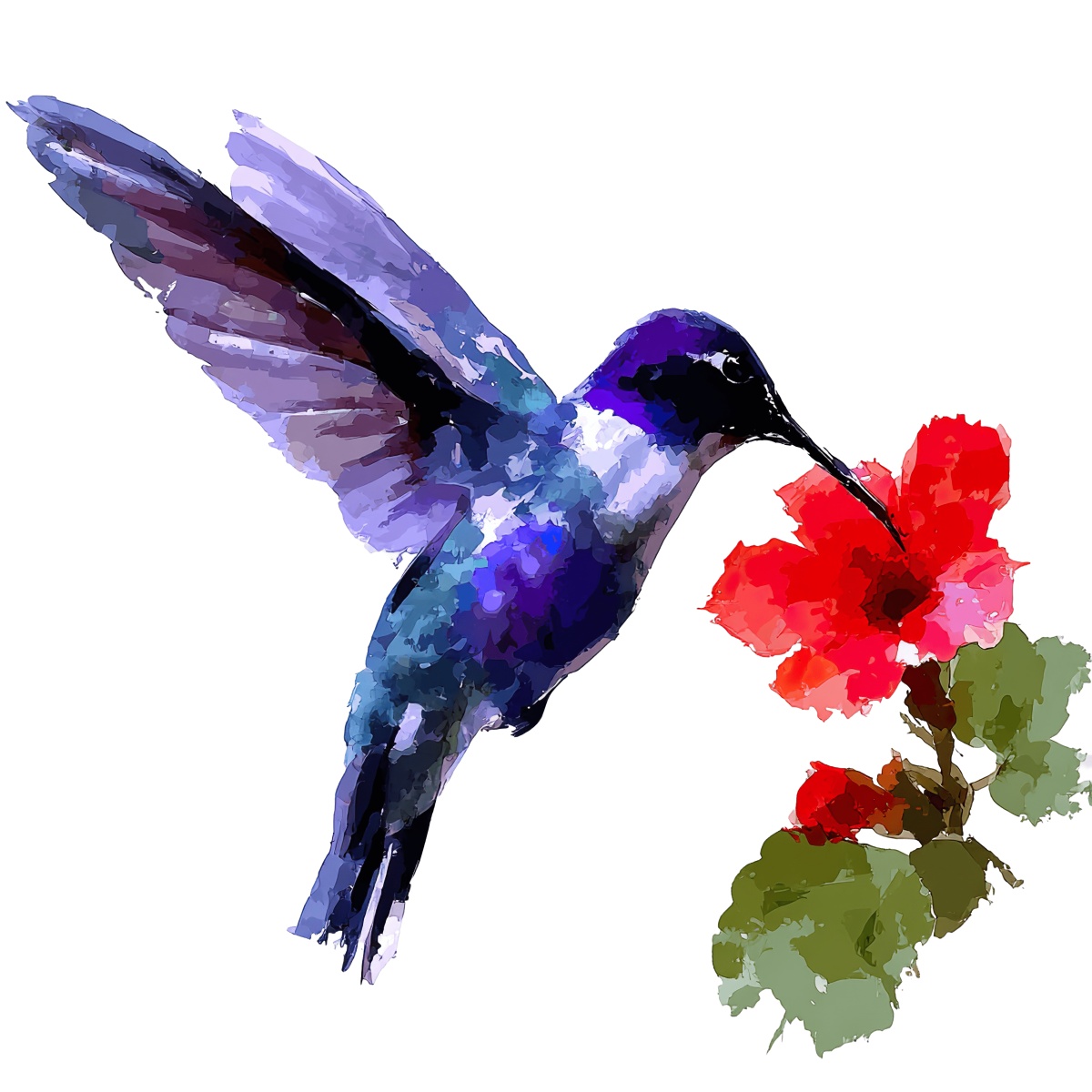 Watercolor hummingbird and red flower