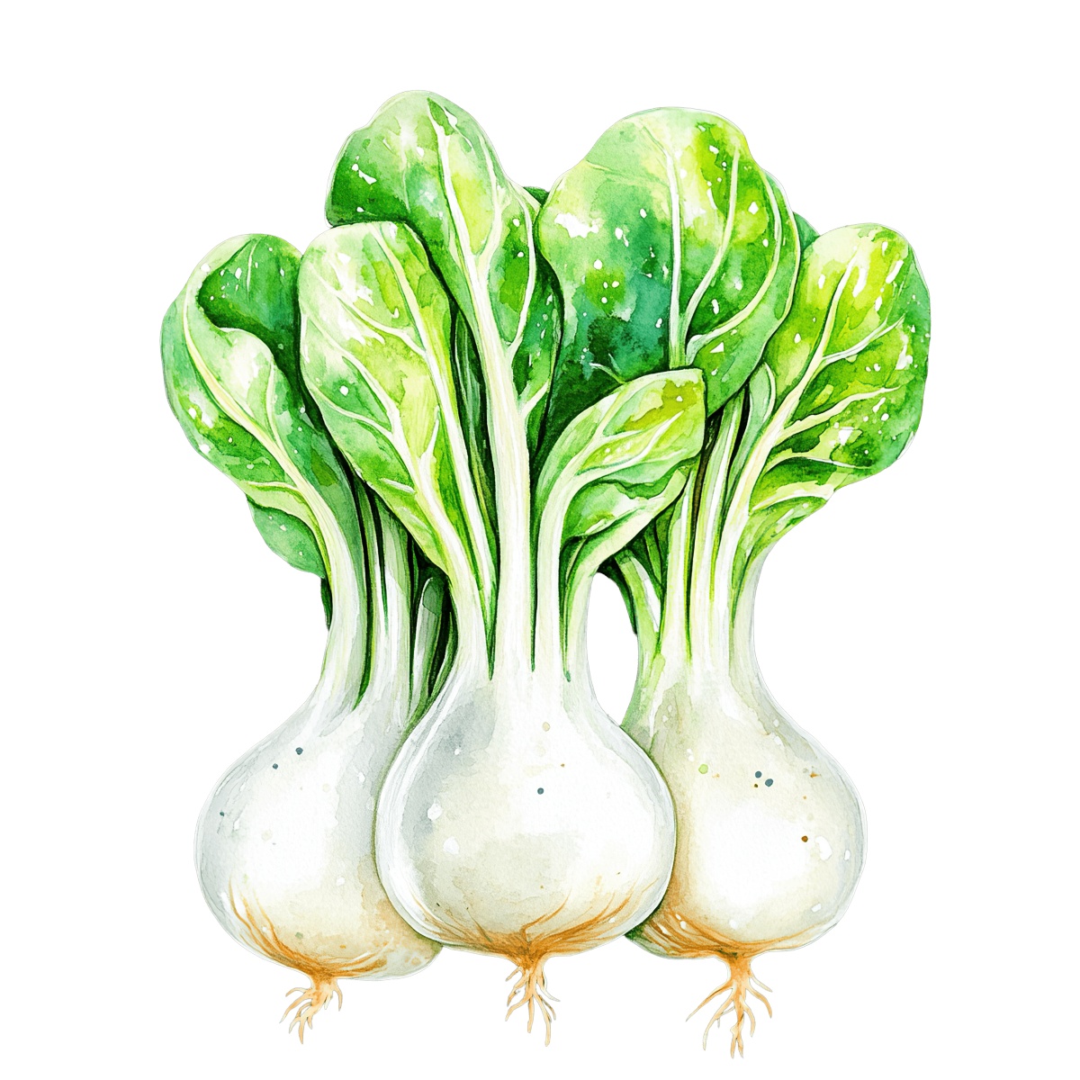 Watercolor image of mizuna sprouts with green leaves.