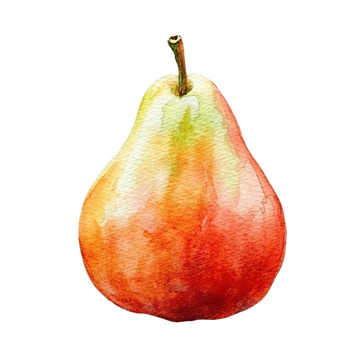 Watercolor pear with red and green hues.