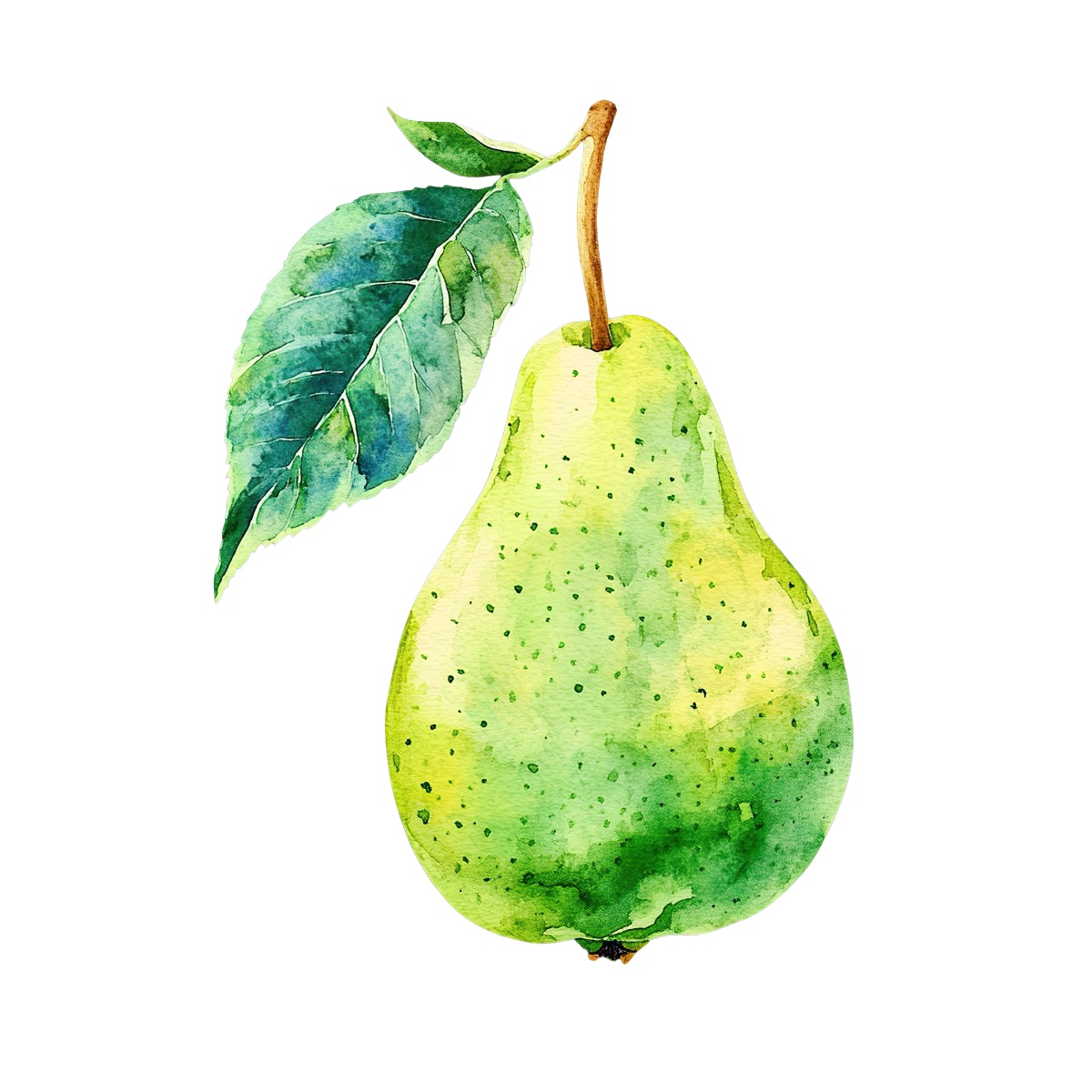 Watercolor pear with a leaf.