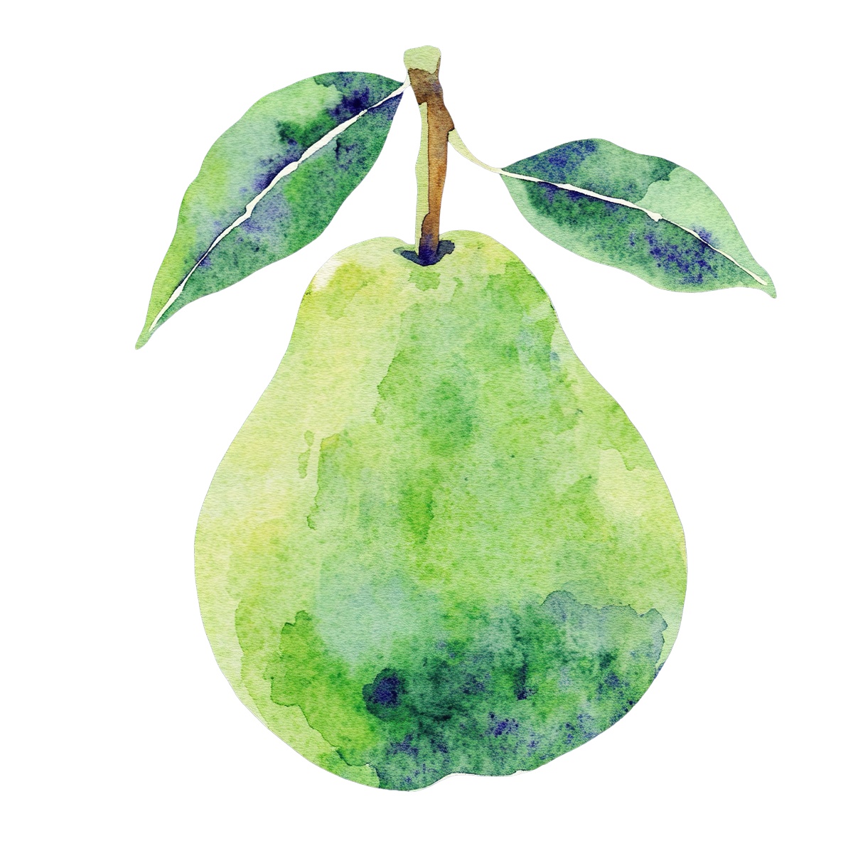 Green watercolor pear with leaves and stem.