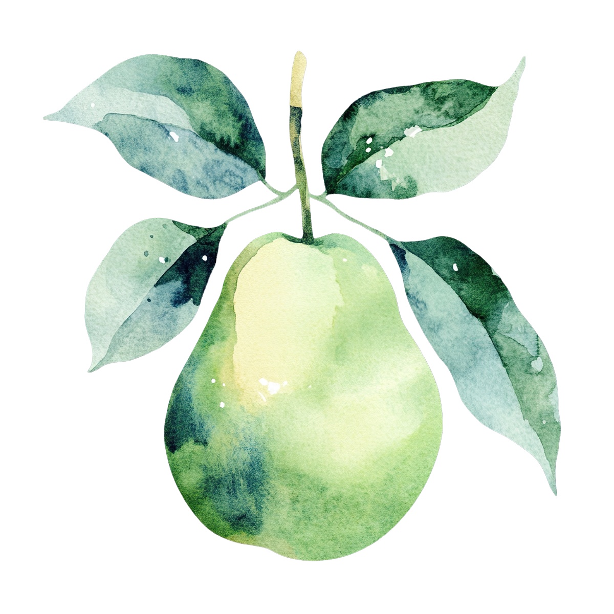 Watercolor pear with green leaves.