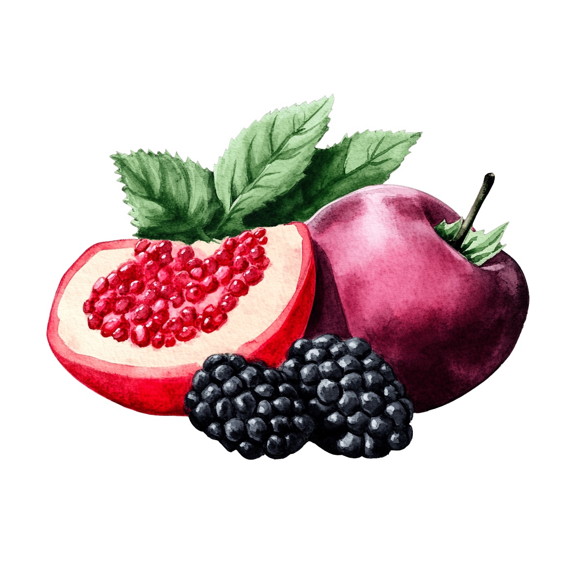 Watercolor art of pomegranate, apple, and blackberries with green leaves.