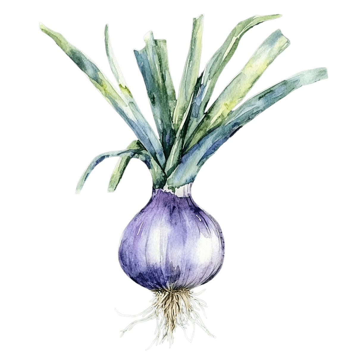Watercolor clipart of a purple onion with green leaves.